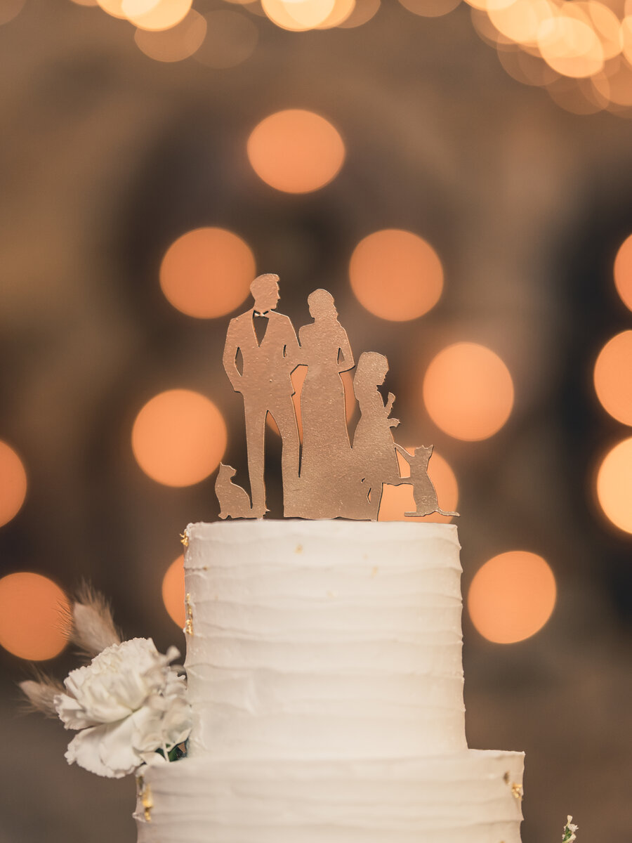 Reportage mariage Bretagne, photo 9