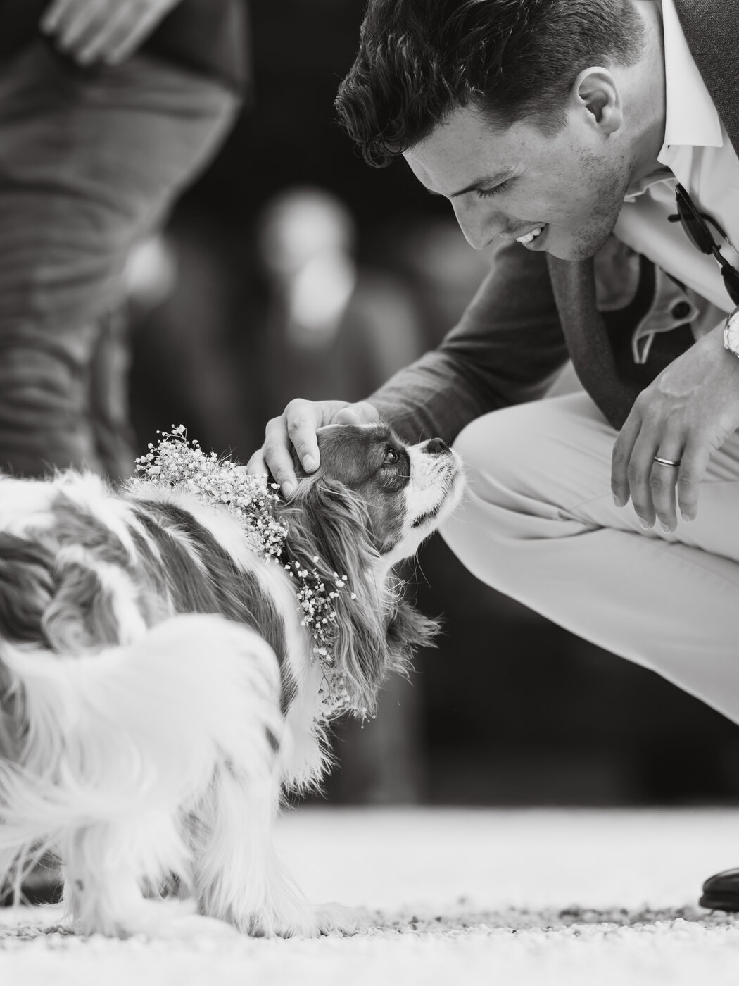 Reportage mariage Bretagne, photo 48